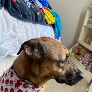 Meet your Posher, Addy